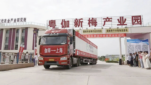 中国物流打通农产品出疆“最鲜一公里”